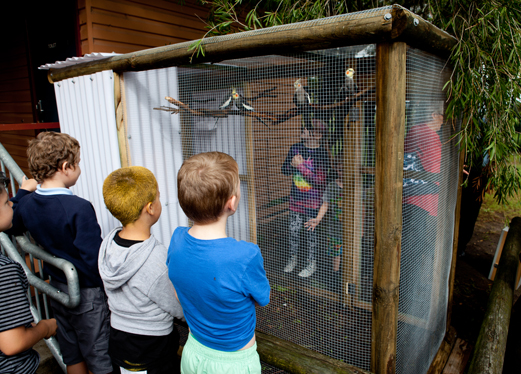Bird Aviary installed at Raymond Terrace Primary School
